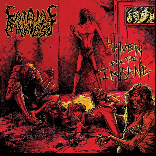 Haven For The Insane