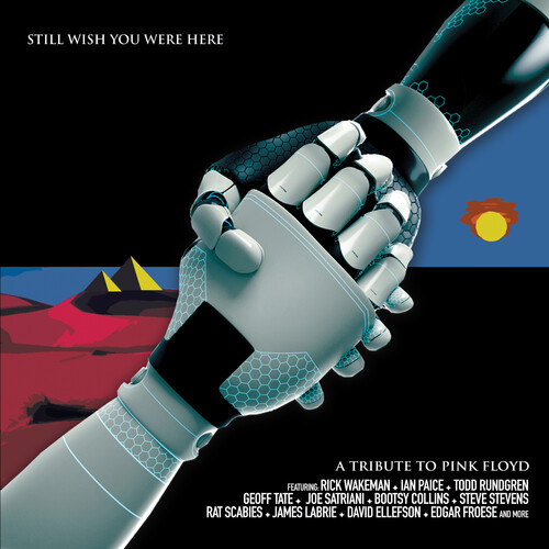 Pink Floyd Tribute: Still Wish You Were Here (Various Artists)