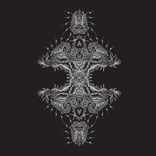 Altered States|Pfirter