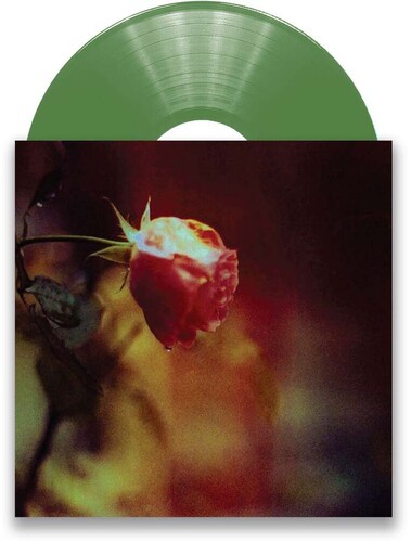 Stretch The Truth B/ W Green & Gold (Olive Green)