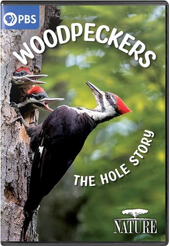 NATURE: Woodpeckers - The Hole Story