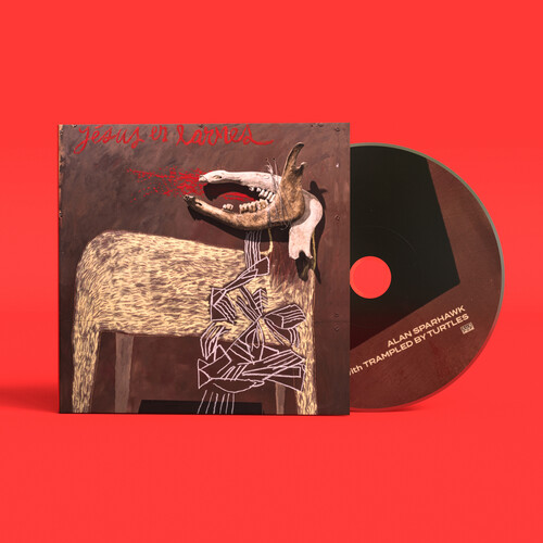 With Trampled by Turtles