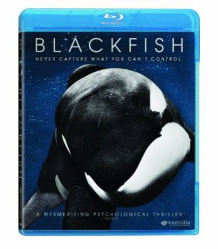 Blackfish