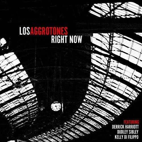 Los Aggrotones - Right Now vinyl record cover