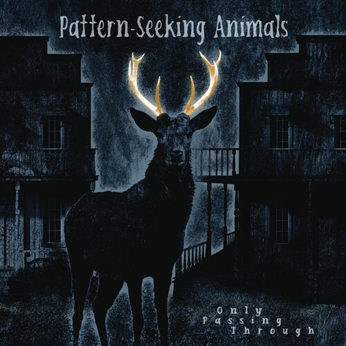 Pattern-Seeking Animals - Only Passing Through vinyl record cover