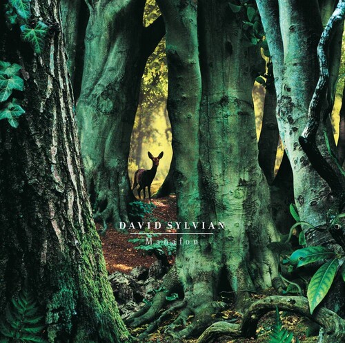 David Sylvian - Manafon [2 LP]