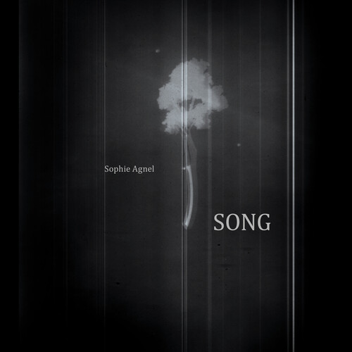 Sophie Agnel - Song
