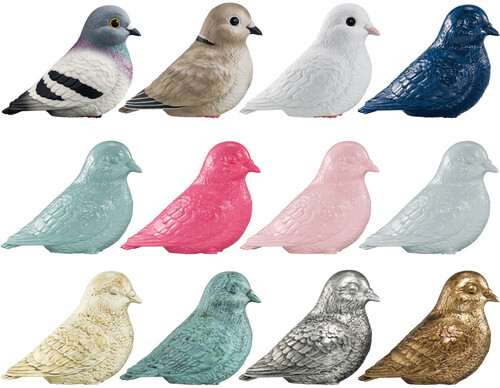 PIGEONS - IMAGINATION MIX