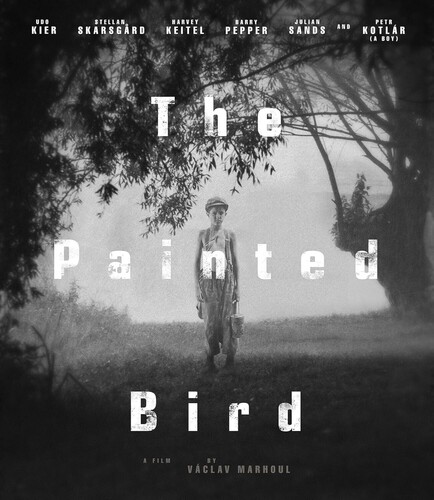 The Painted Bird