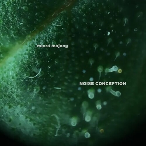 Noise Conception