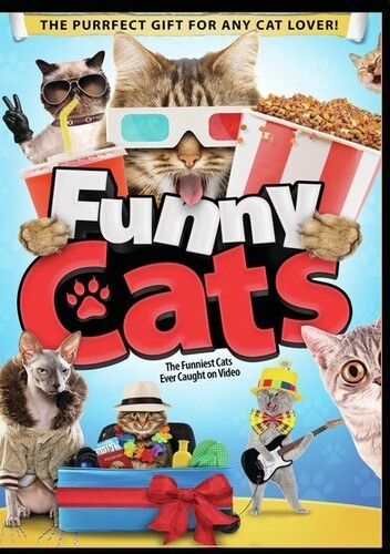 Funny Cats