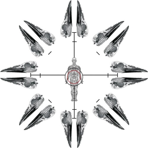 Pieces Of Primal