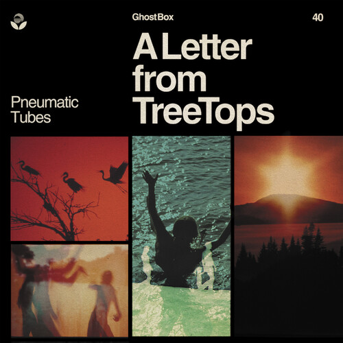 Pneumatic Tubes - Letter From Treetops (Can) vinyl record cover
