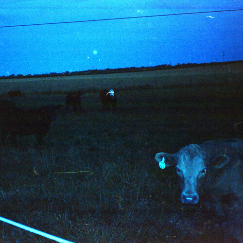 Antarctica - Dark Blue