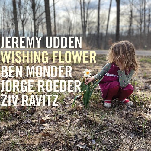 Jeremy Udden - Wishing Flower