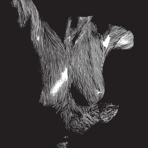 Oceansize - Self Preserved While The Bodies Float Up (Aniv) vinyl record cover