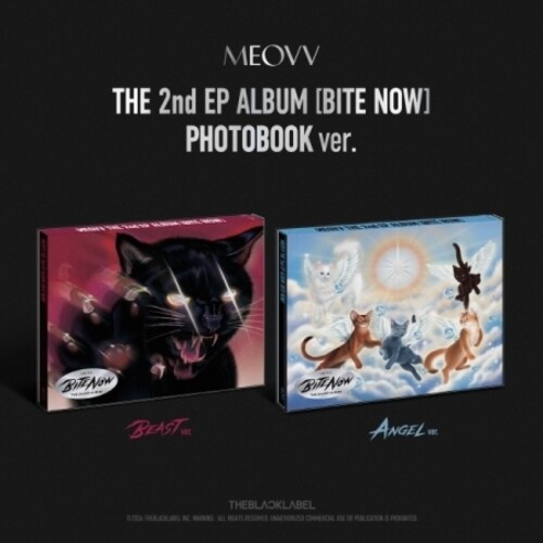 BITE NOW - PHOTOBOOK VERSION