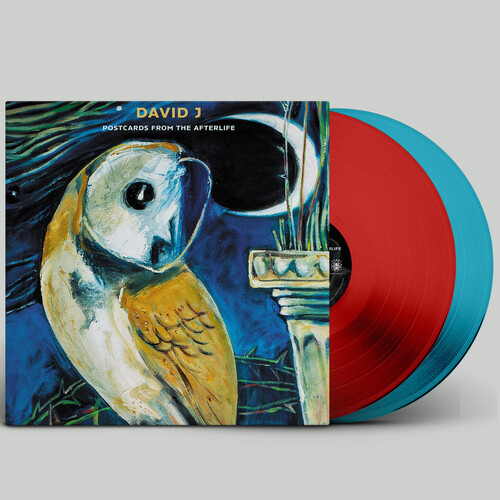 David J - Postcards From The Afterlife vinyl record cover