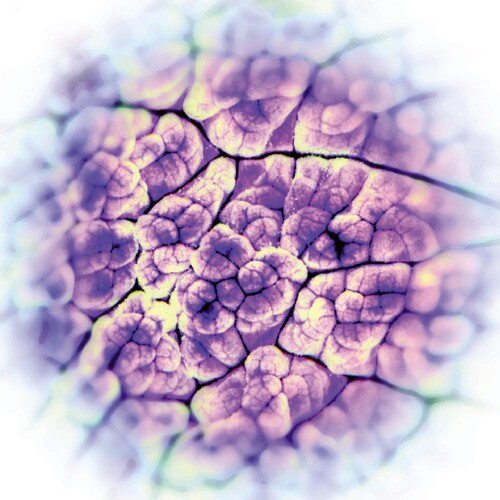 Automatisme Psychique