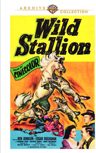 WILD STALLION