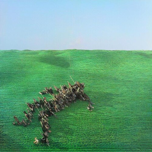 Squid - Bright Green Field [With Booklet]