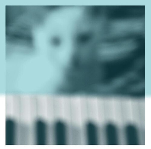 Peter Broderick - Piano Works Vol. 1 (Floating In Tuckers Basement) vinyl record cover