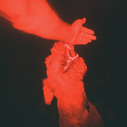 Eli Winter - Trick Of The Light
