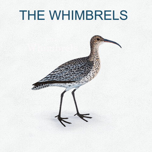 The Whimbrels