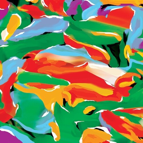 Auntie Flo - Birds Of Paradise vinyl record cover