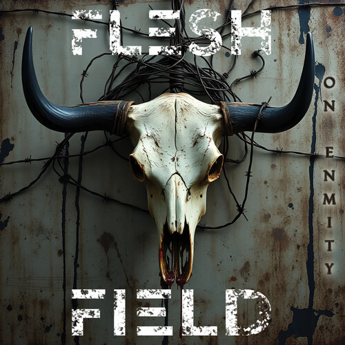 Flesh Field - On Enmity vinyl record cover