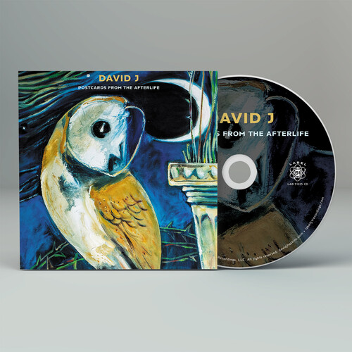 David J - Postcards From The Afterlife vinyl record cover