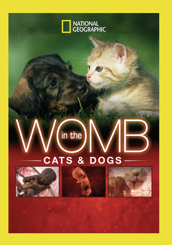 In The Womb: Cats And Dogs