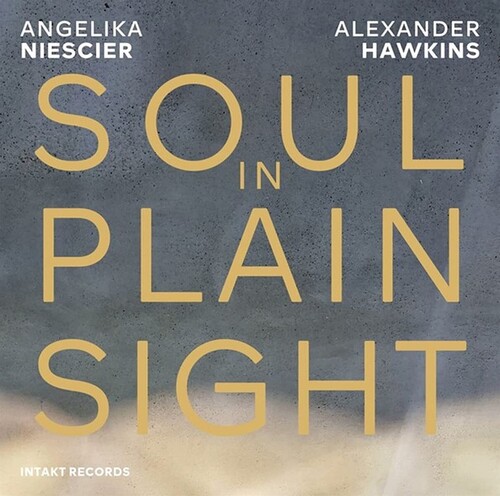Angelika Niesicer  / Hawkins,Alexander - Soul In Plain Sight