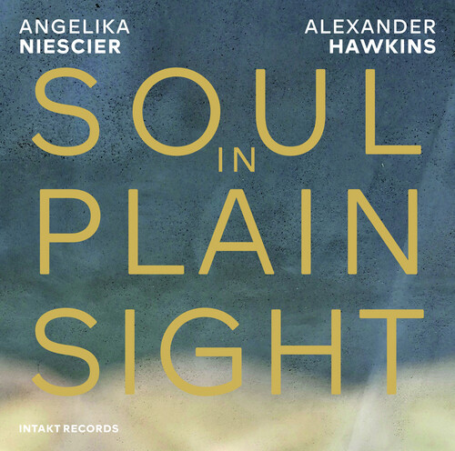 Angelika Niesicer / Hawkins,Alexander - Soul In Plain Sight vinyl record cover