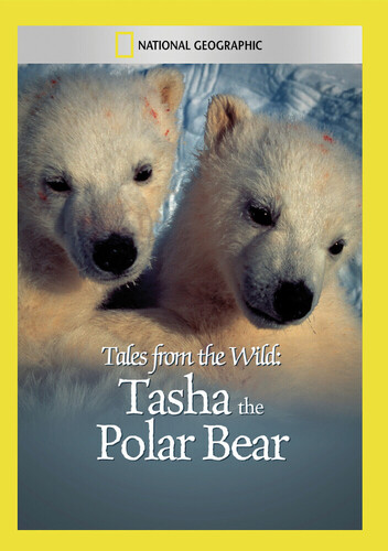 Tales From the Wild: Tasha the Polar Bear