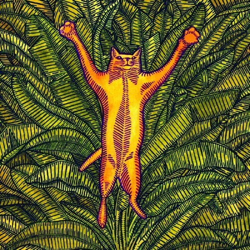 Brian Marsella - Gatos Do Sul vinyl record cover