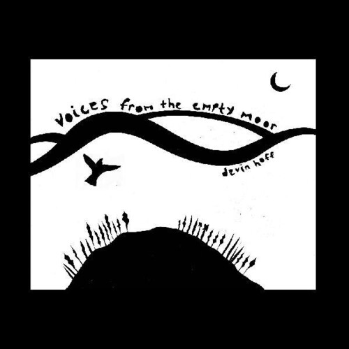 Devin Hoff - Voices From The Empty Moor (Songs Of Anne Briggs) vinyl record cover