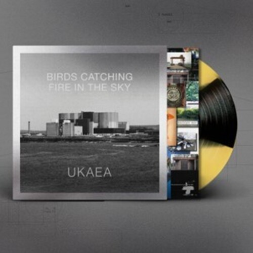 UKAEA - Birds Catching Fire In The Sky (Blk) [Colored Vinyl] (Ylw)