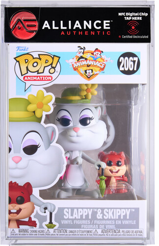 ANIMANIACS SLAPPY & SKIPPY