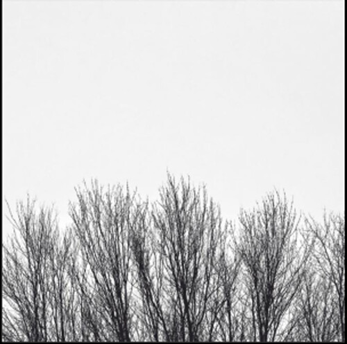Northwoods Improvisers - White Sky vinyl record cover