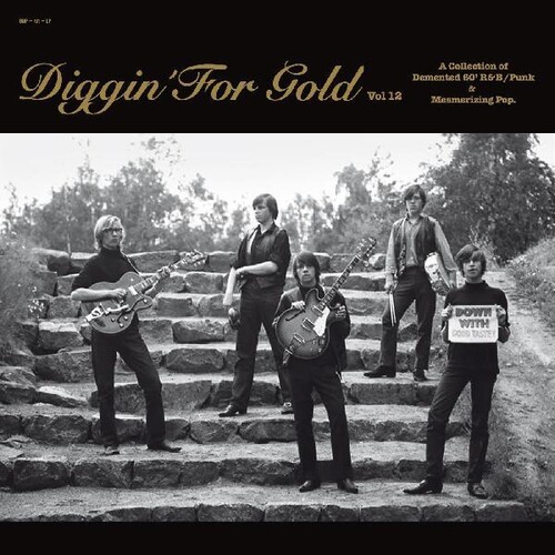 Diggin' For Gold 12 (Various Artists)