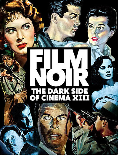 Film Noir: The Dark Side of Cinema XIII [Spy Hunt /  The Night Runner /  Step Down to Terror]