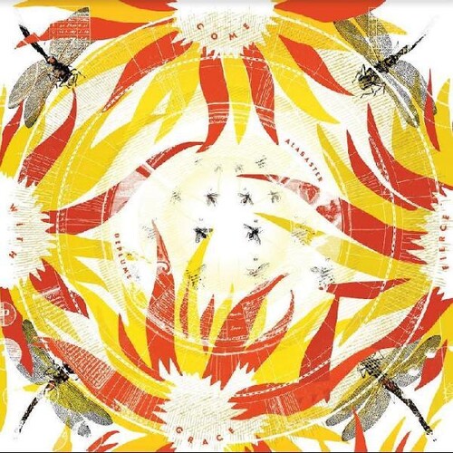 Alabaster Deplume - Come With Fierce Grace vinyl record cover