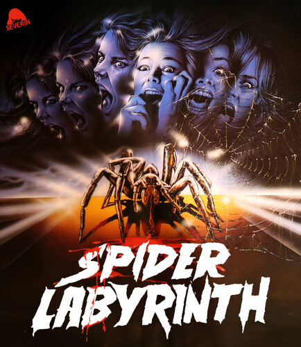 The Spider Labyrinth