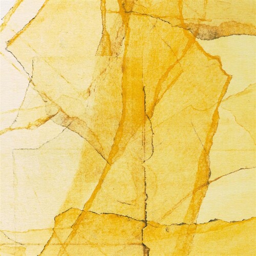 Wadada Smith  Leo / Myaers,Amina Claudine - Central Parks Mosaic Of Reservoir, Lake, Paths And vinyl record cover