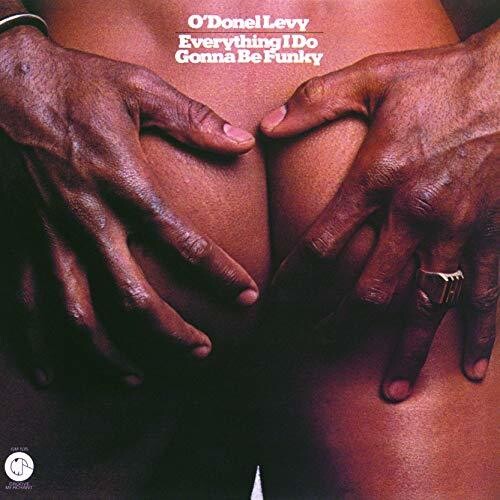 Everything I Do Gonna Be Funky [Import]