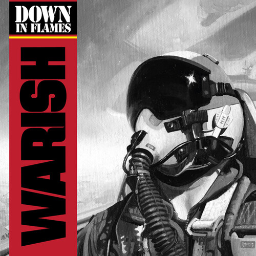 DOWN IN FLAMES