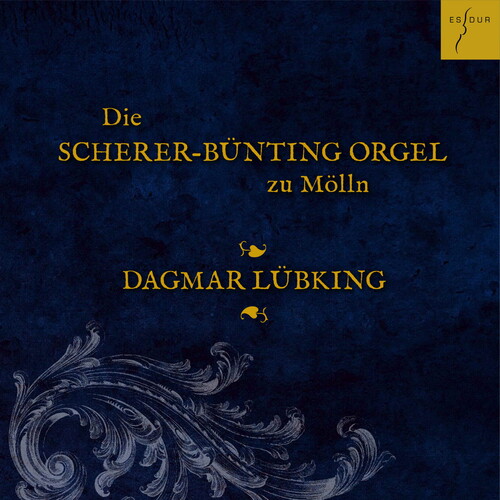 Die Scherer-bunting-orgel In Molln