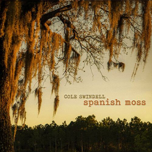 Cole Swindell - Spanish Moss