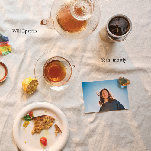 Will Epstein - Yeah Mostly vinyl record cover